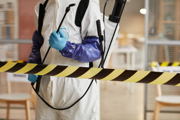 Professional Sewage Cleanup technician working in Milpitas, CA